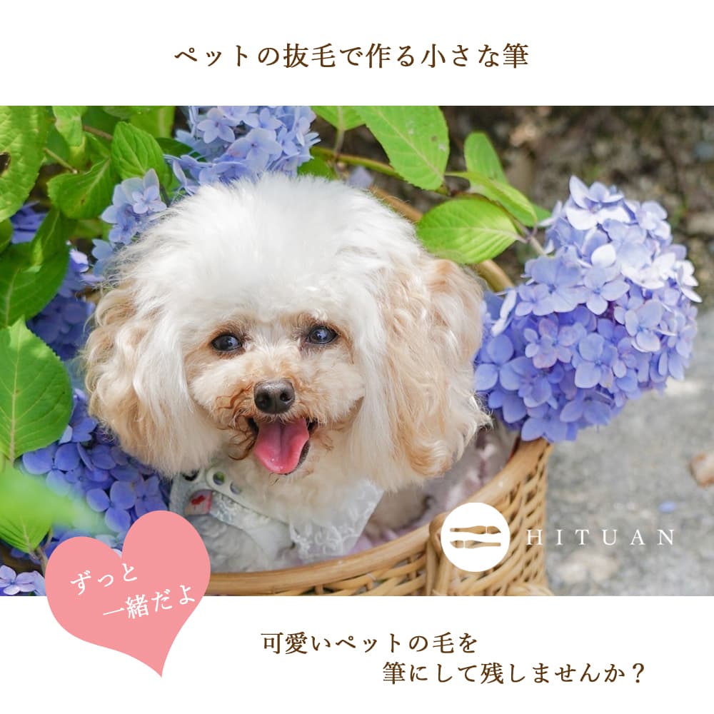 ペットの抜毛で作る小さな筆 　遺毛 思い出 形見 供養 愛犬 愛猫 うちの子 誕生日 メモリアル 記念品 犬 猫