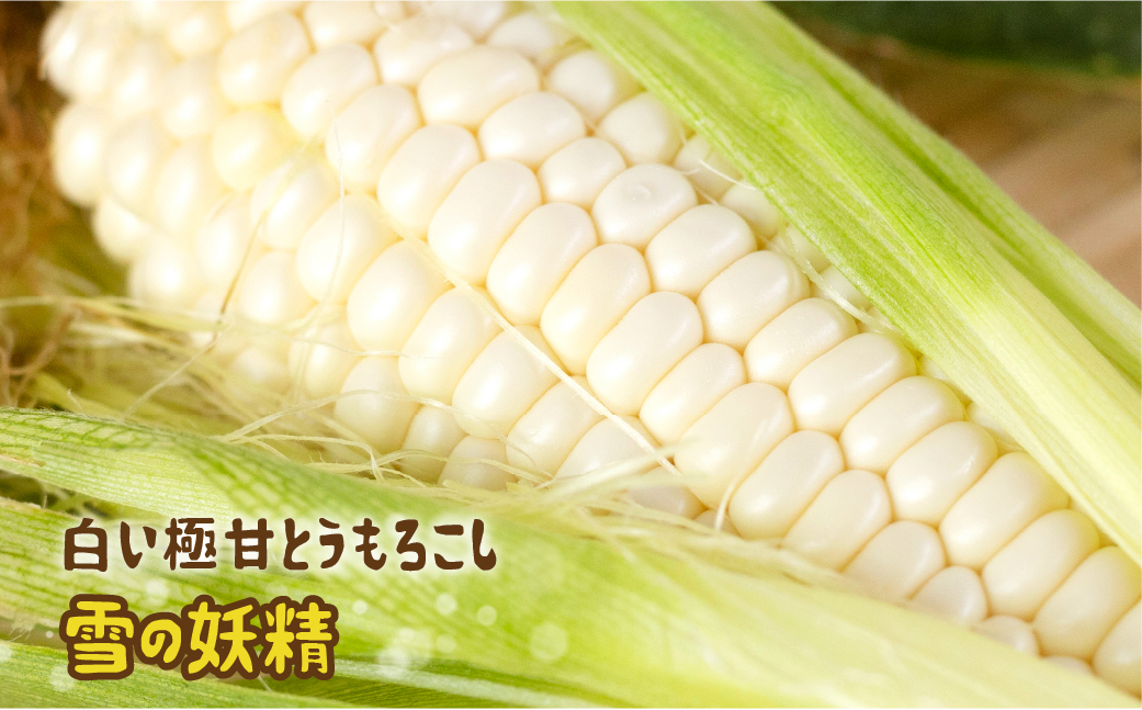 《先行予約》高評価 平均糖度20以上 白い極甘とうもろこし 10本 朝採り 人気 甘い 訳あり ワケアリ 簡単調理 まるで フルーツ 送料無料 高レビュー 数量限定 2025年 先行予約