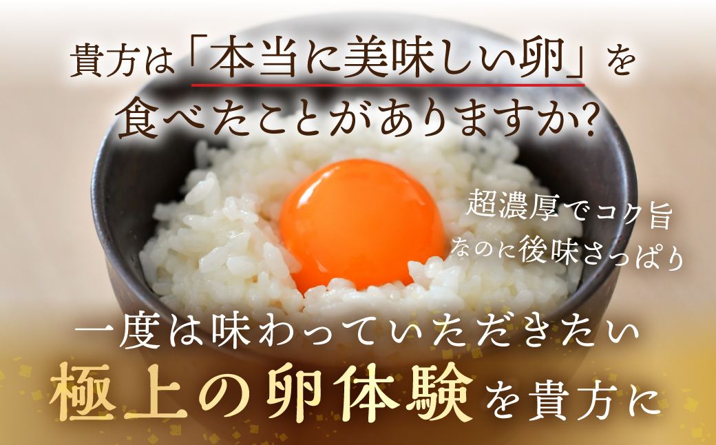 【感動の卵体験】コク旨 極上卵 30個 割れ保証付き