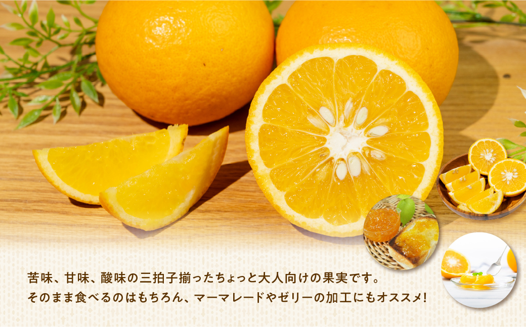 大橋農園の 甘夏 5kg 甘夏 あまなつ 柑橘 柑橘類 フルーツ 果物 旬 オレンジ みかん マーマレード マーマレードジャム ゼリー に 愛知県 田原市 渥美半島