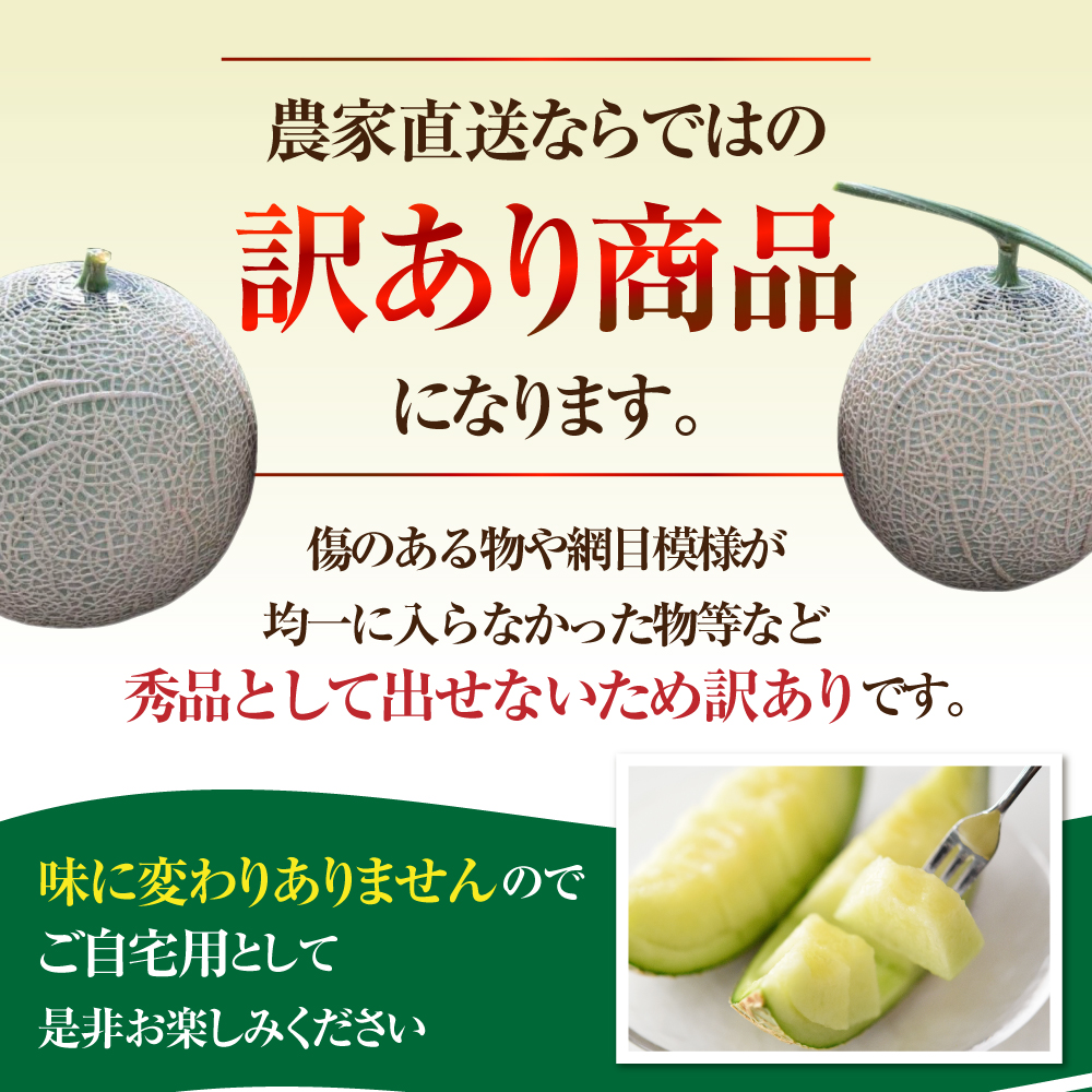 先行予約 訳あり マスクメロン L～2L 2玉 メロン 野菜ソムリエ推薦 数量限定 渥美半島 伊良湖潮風育ち 田原市 ご自宅用 お取り寄せ 産地直送 送料無料 12000円