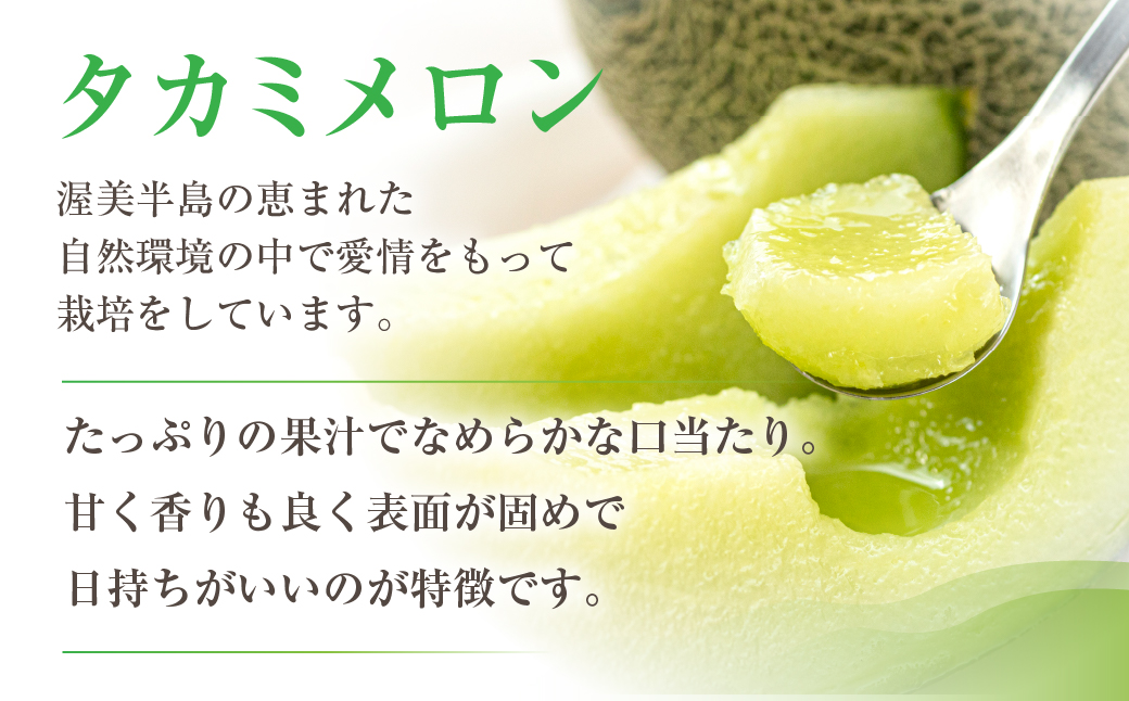【先行予約】渥美半島産　青木さんちのタカミメロン 樹上完熟 4玉～5玉 約5kg メロン タカミメロン 青肉メロン 完熟 フルーツ 果物 デザート 農家直送 送料無料 熟成