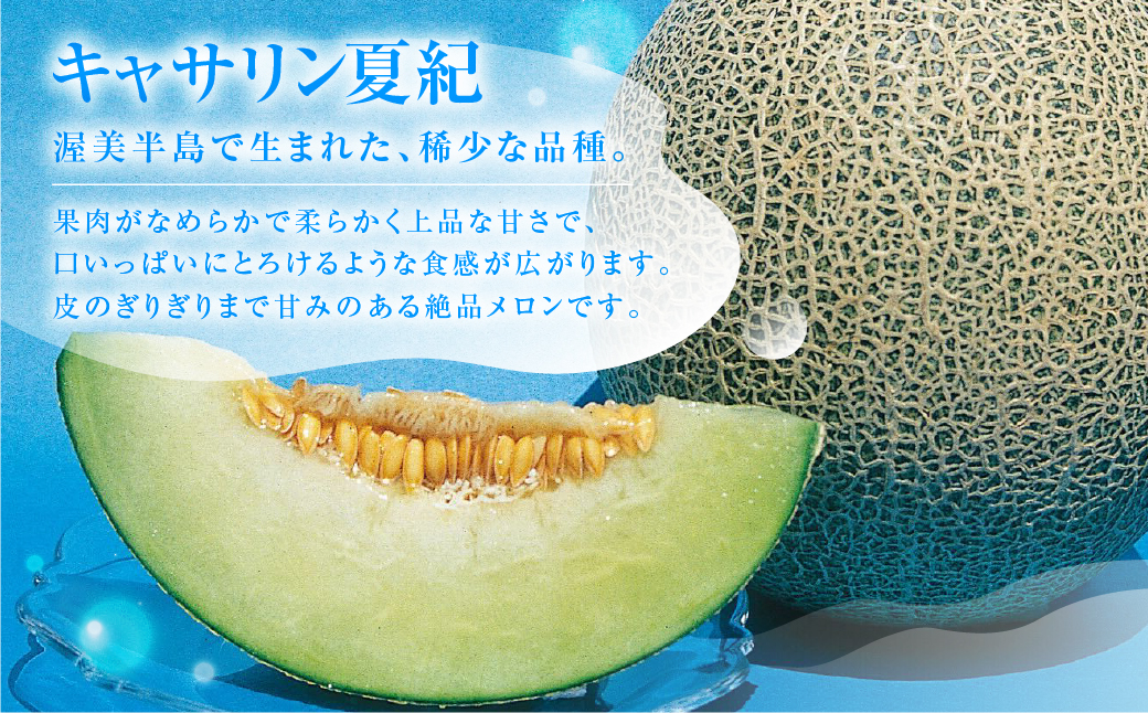 【先行予約】渥美半島産　青木さんちのキャサリン夏紀 樹上完熟 4玉～5玉 約5kg メロン キャサリン 青肉メロン 完熟 フルーツ 果物 デザート 農家直送 送料無料 熟成