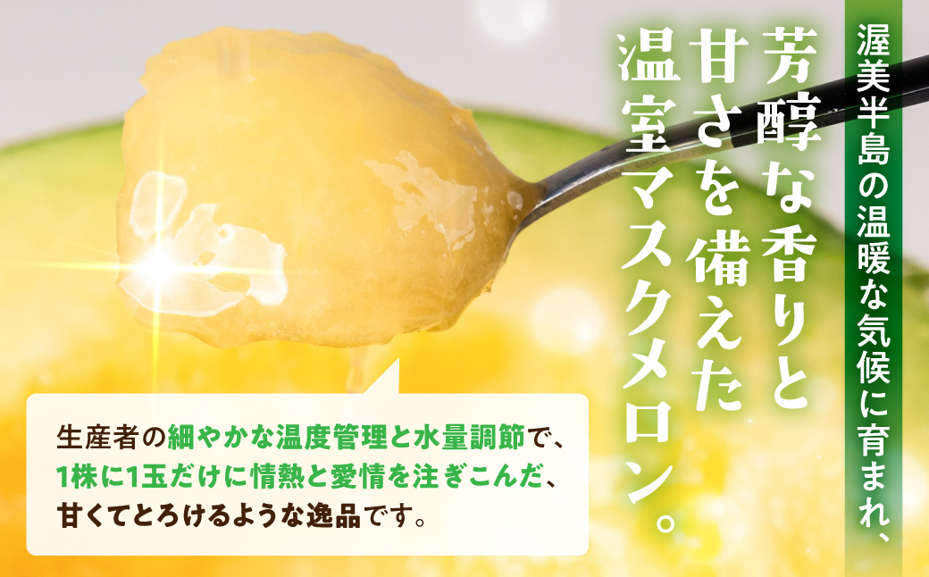 【先行予約】マスクメロン 2玉 メロン めろん マスクメロン フルーツ 果物 愛知県 田原市 渥美半島 お取り寄せ スイーツ ギフト 贈り物 プレゼント 贈答 贈答用 ニュー渥美 観光 1玉 2玉 3玉 訳あり わけあり ワケアリ 訳アリ