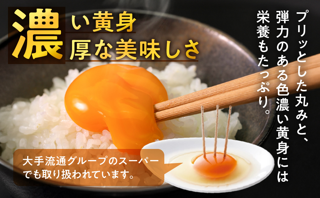 農場たまご めぐみ 30個 定期便12回　割れ保証付き 卵 たまご 鶏卵 30 赤玉 新鮮 毎月お届け 12回 12か月 1年 一年間 イラコファーム 愛知県 田原市