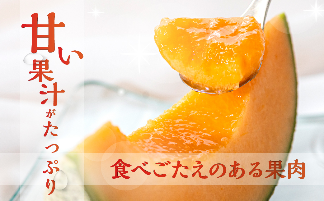 【先行予約】2026年6月お届け 水野農園タカミレッド　大玉１玉 メロン めろん 先行受付 フルーツ 果物 お中元 お取り寄せ ギフト 渥美半島 田原市 産地直送 送料無料 農家直送 産直 ネット系メロン くだもの デザート メロン 糖度  赤肉メロン