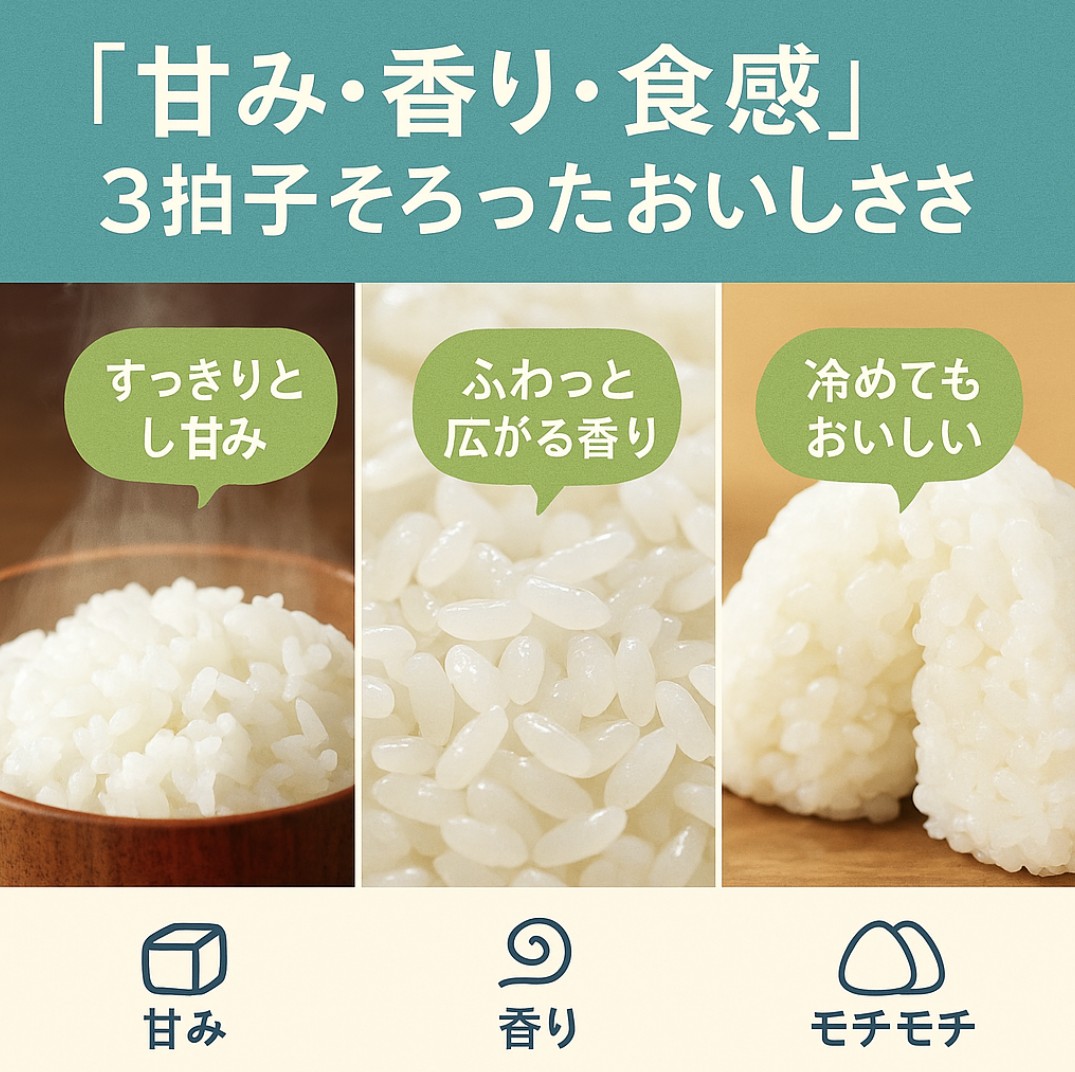 【先行予約】新米 5kg たはらの お米 おこめ 米 コメ ごはん ご飯 おかず 白飯 白ごはん お弁当 精米 お取り寄せ 災害 備え 愛知県 田原市 人気