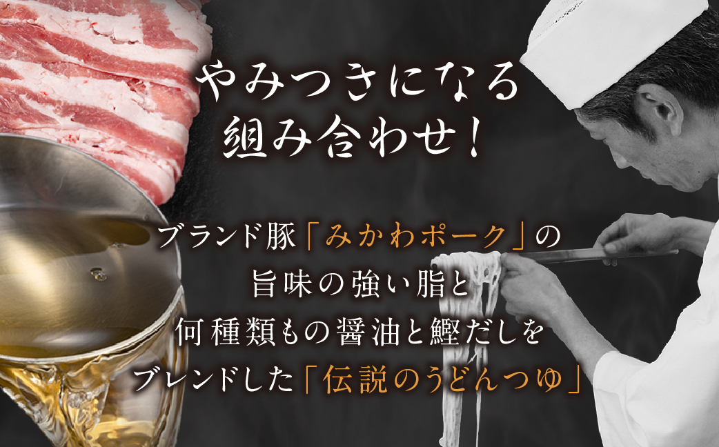みかわの郷 みかわポーク肉うどんセット (5人前）うどん 冷凍うどん 肉うどん 三河 みかわの郷 みかわポーク ブランド豚 豚肉 老舗 うどん 出汁 鰹だし