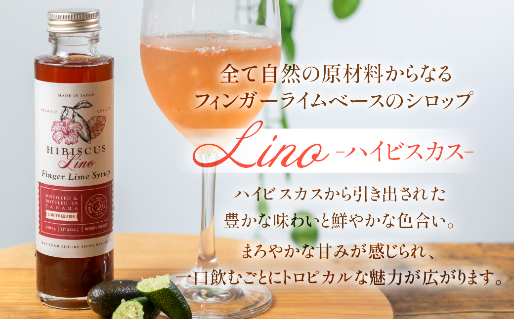 フィンガーライムシロップ Lino ハイビスカス FINGER LIME JAPAN公認 キャビアライム ライム フルーツキャビア 森のキャビア 柑橘 柑橘系 愛知県 田原市 渥美半島 国産