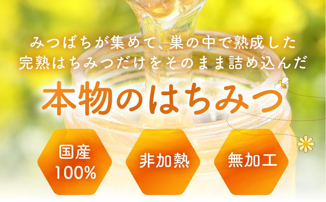渥美半島産純粋百花はちみつ チューブ 300g 1本 蜂蜜 ハチミツ はちみつ お取り寄せ ご当地 グルメ お取り寄せ 純粋はちみつ ハニー 純粋ハチミツ 蜂 国産はちみつ 国産ハチミツ 産地直送 健康 送料無料 百花 花 完熟 パン ヨーグルト コーヒー 紅茶 などに