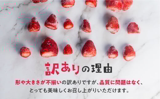 【愛知県・田原産】先行予約 フローズンいちご 約1kg×2袋 ／ 冷凍いちご 苺 イチゴ 紅ほっぺ フルーツ 果物 冷凍 アイス スムージー 愛知県 産地直送 田原市