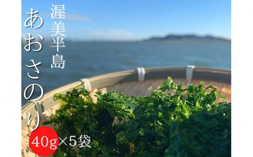 あおさ 小分け (40g×5パック) 計200g 愛知県 三河湾 あおさのり 「はじめまして あおさのり です。」　 アオサ海苔 味噌汁 お吸い物 海藻類 お取り寄せ お取り寄せグルメ 送料無料 国産 食品 産地直送 12000円