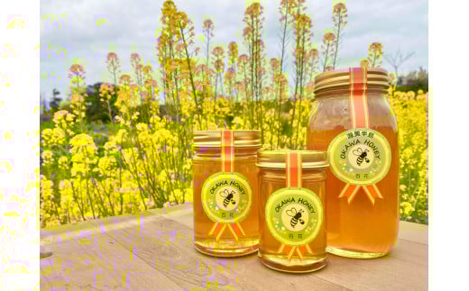 OKAWA HONEY 渥美半島産純粋百花はちみつ2本 蜂蜜 ハチミツ はちみつ お取り寄せ ご当地 グルメ 取り寄せ グルメ お土産 土産 純粋はちみつ ハニー 純粋ハチミツ 蜂 国産はちみつ 国産ハチミツ 産地直送 健康 送料無料