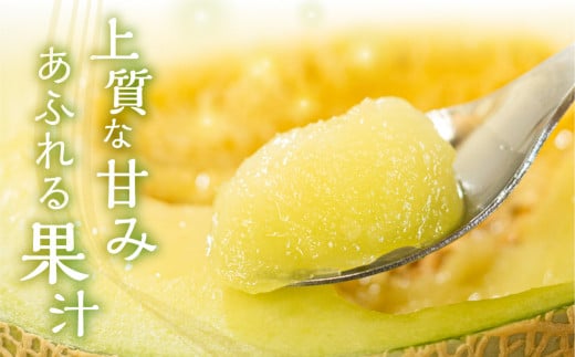 【先行予約】伊良湖産 限定品 マスクメロン 3玉 Premium 2026年6月下旬から7月中旬順次発送 箱詰め メロン フルーツ 果物 お中元 お取り寄せ ギフト 渥美半島 田原市 産地直送 送料無料