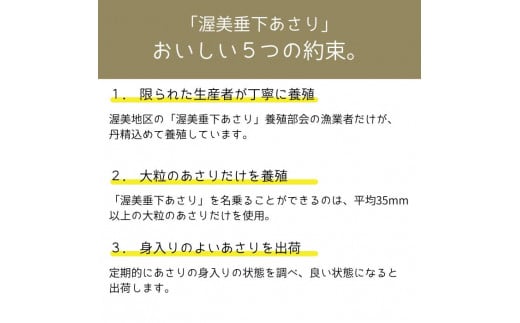 《先行予約》渥美 垂下 あさり かごいり娘 1.2kg