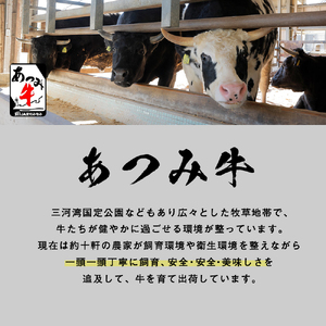 あつみ牛 牛肩ロース 350g すき焼き しゃぶしゃぶ 牛肉 ビーフ 肩ロース お取り寄せ 牛 特産 ご当地 グルメ おうち時間 国産 霜降り ふるさと納税 肉 冷凍 贅沢 和食 洋食 祝 田原市 送料無料 12000円