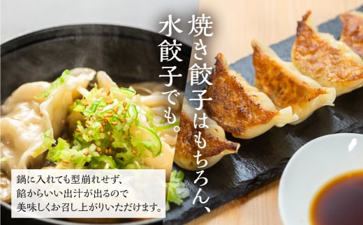 訳あり 無添加 手造り 餃子 75個入 絶品 こだわり タレ付き 国産 鍋 のトッピング 簡易包装 小分け お手軽 簡単調理 健康志向 ニンニク にんにく 17000円