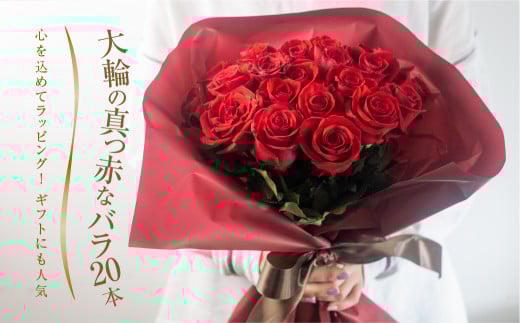 バラ 花束 大輪 赤 20本 (40cm) ブーケ 薔薇 ローズ 生花 プレゼント 花 ギフト  植物 フラワー 田原市 切り花 切花 12000円