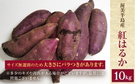 先行予約 訳あり さつまいも 10kg  サイズ無選別 紅はるか 田原市 渥美半島