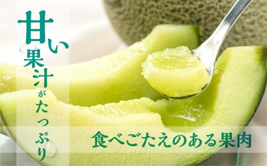 先行予約 タカミメロン 5kg 3～5玉 水野農園 6月中下旬から7月順次発送 メロン めろん 先行受付 フルーツ 果物 お中元 お取り寄せ ギフト 渥美半島 田原市 産地直送 送料無料 12000円