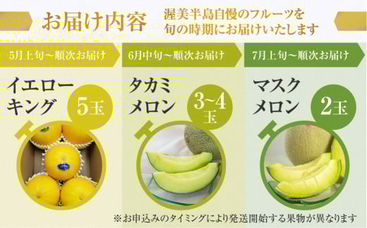 先行予約 2025年発送 渥美半島の恵み メロン 定期便 3回 ( イエローキング / タカミメロン / マスクメロン) 果物 旬 めろん 夏 夏季 食べ比べ 3種 人気 愛知県 田原市 39000円