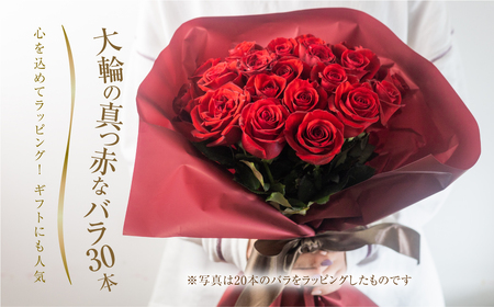 バラ 花束 大輪 赤 30本 (40cm) ブーケ 薔薇 ローズ 生花 観賞用 プレゼント 花 ギフト 誕生日 植物 フラワー 土壌栽培 産地直送 田原市 人気 切り花 切花