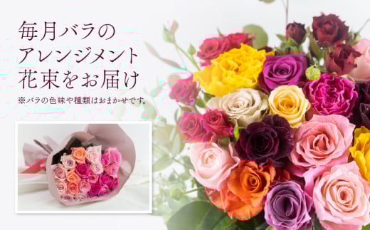 【定期便】薔薇 アレンジメント  (バラ20本+ユーカリ) 6ヶ月 12回お届け 隔週 花束 アレンジブーケ バラ 薔薇 花束 ローズ 生花 赤 ピンク 色おまかせ 観賞用 プレゼント 花 ギフト 誕生日 植物 フラワー 土壌栽培 産地直送 田原市 人気 切り花 切花 144000円