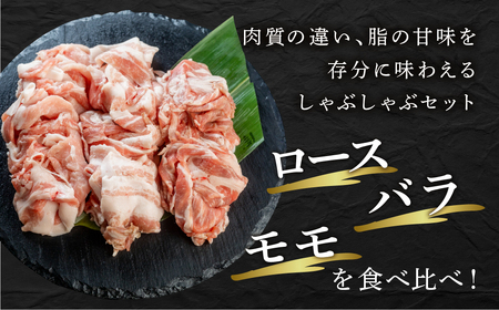 訳あり 国産 豚肉 食べ比べ 1000g しゃぶしゃぶ用 スライス ロース バラ 1kg 冷蔵 瓜生豚 小分け 簡易包装 訳あり ぶた スライス 薄切り 豚しゃぶ 贈り物 ギフト お取り寄せ お取り寄せグルメ 食品 送料無料 産地直送 冷蔵 瓜生