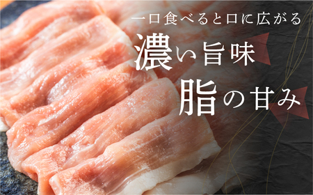 訳あり 国産 豚肉 食べ比べ スライス 切り落とし 2kg 豚小間 しゃぶしゃぶ ロース すきやき バラ 冷蔵 瓜生豚 小分け 簡易包装 訳あり ぶた スライス 薄切り 豚しゃぶ 贈り物 ギフト お取り寄せ お取り寄せグルメ 食品 送料無料 産地直送 冷蔵 瓜生