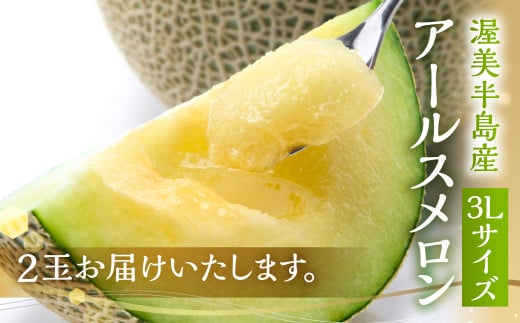 農業王国 渥美半島 田原市から 日研農園 アールスメロン　3L×2玉入 ／ めろん フルーツ 果物  特産品 産地直送 田原市 渥美半島