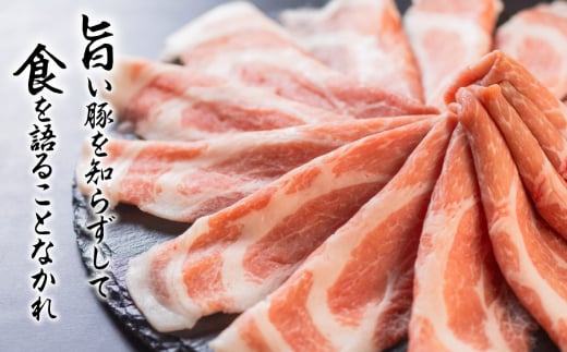 【3回 定期便】国産 豚肉 食べ比べ 500g × 3 計 1.5kg しゃぶしゃぶ用 ロース 肩ロース バラ 冷凍 田原ポーク 小分け 100g ずつ 個包装 定期便