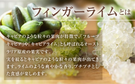 先行予約 フィンガーライムアソート 果実 100g 詰め合せ 品種お任せ フィンガーライム FINGER LIME JAPAN公認 キャビアライム フルーツキャビア 森のキャビア 柑橘 愛知県 田原市 渥美半島 国産 13000円