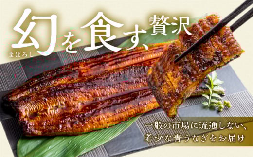 厳選 幻の青うなぎ 10尾 蒲焼 1500g | 2週間でお届け 食感・風味全てに自信のある最高のうなぎ