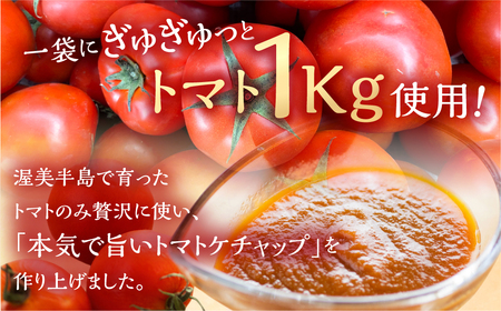 生けちゃっぷ 2種 3本セット ケチャップ 調味料 とまと トマト 素材 こだわり 12000円
