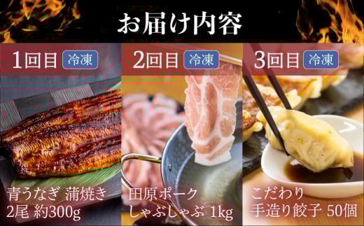 渥美半島の恵み スタミナセット定期便  全3回 (うなぎ / 豚肉 / 餃子)