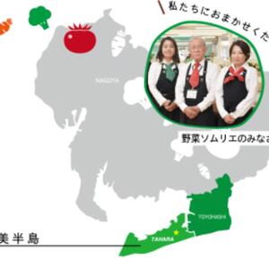 渥美半島のやさい特選便 13～15品目 特製ドレッシング付き 野菜ソムリエ監修 旬の野菜 セット 食べ比べ 季節限定 数量限定