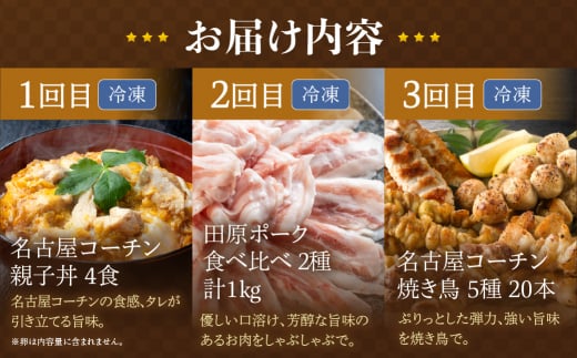 渥美半島の恵み ブランド豚・地鶏 定期便 全3回 (田原ポーク / 名古屋コーチン 焼鳥 / 親子丼)