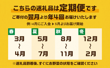 【年4回 定期便 】金賞受賞 旬彩野菜セット 旬の野菜 7品目以上 レシピ付き お届け 国産 新鮮 農薬不使用 化学肥料不使用 産地直送 こだわり野菜