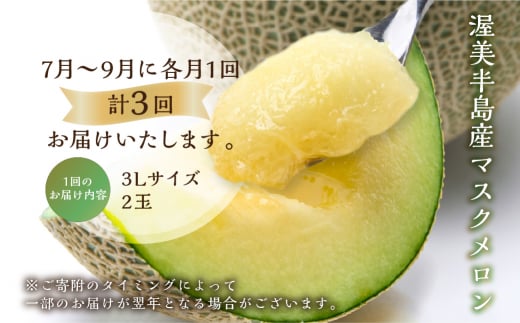 【定期便】先行予約 マスクメロン 3回  伊良湖産 2玉 3Lサイズ   箱詰め メロン フルーツ 果物 お中元 お取り寄せ ギフト 渥美半島 田原市  日研農園 産地直送 送料無料 36000円