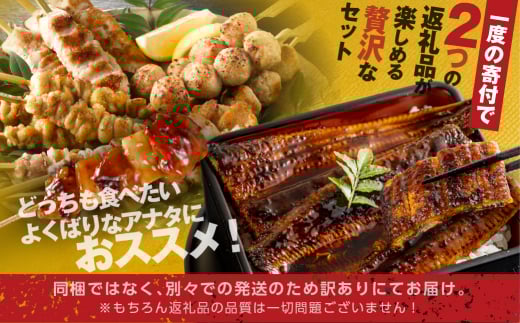 幻の青うなぎ＆名古屋コーチンセット　 食感・風味全てに自信のある最高のうなぎ | 鰻 ウナギ ふっくら うなぎ 地鶏 焼鳥