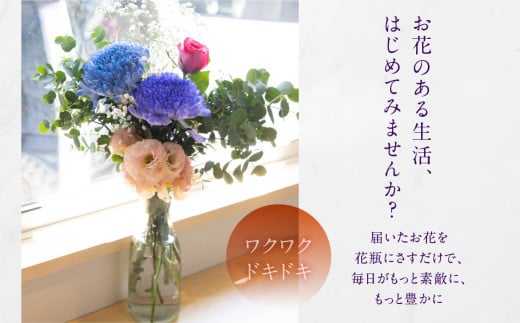 お花屋さんのタハナＢＯＸ 定期便 3回 花 花束 切り花 / 愛知県 田原市