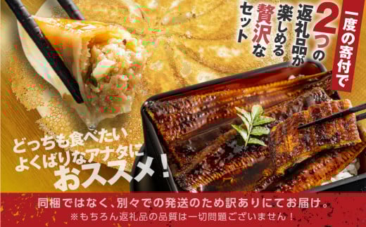 青うなぎ＆餃子  渥美半島よくばりセット 年内 蒲焼き 鰻 ウナギ うなぎ蒲焼 惣菜 幻 簡単調理 おいしい 高評価 ふるさと納税 魚 さかな 魚介 ランキング ぎょうざ ギョウザ おかず おすすめ