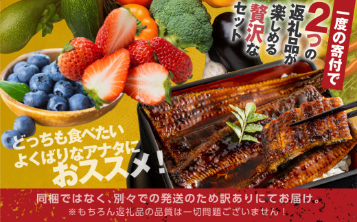 青うなぎ＆野菜  渥美半島よくばりセット 年内 蒲焼き 鰻 ウナギ うなぎ蒲焼 惣菜 幻 簡単調理 おいしい 高評価 ふるさと納税 魚 さかな 魚介 ランキング 野菜ソムリエ厳選 旬の野菜 フルーツ 詰め合わせ おすすめ