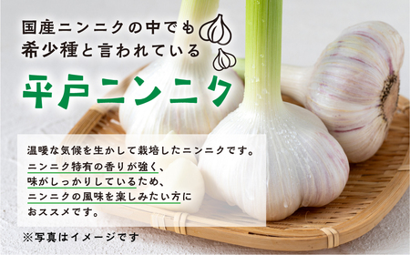 ≪先行予約≫ 訳あり 渥美半島産　ニンニク （乾燥）１ｋｇ 簡易包装 にんにく 国産にんにく 平戸にんにく 愛知県 田原市