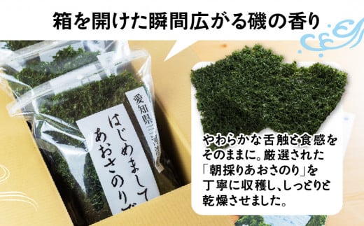 訳あり あおさ 300g 100g×3袋 簡易包装 愛知県 三河湾産 「はじめまして あおさのり です。」あおさ海苔 海苔 味噌汁 みそ汁 具 海藻類 アオサ 訳アリ 大容量 送料無料 国産 食品 田原市 12000円 人気