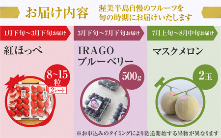 渥美半島の恵み フルーツ 定期便 3回お届け ( いちご / ブルーベリー / メロン )