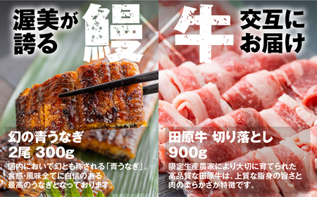 幻の青うなぎ＆田原牛 堪能 定期便 12回お届け