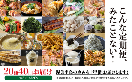 渥美半島の恵み 20種 40回 12 カ月 1年定期便
