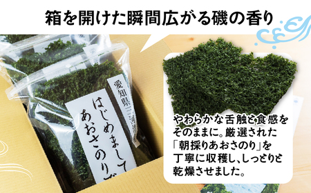 はじめましてあおさのりです。300g　1年　定期便 ／ 海苔 海藻 愛知県 特産品 産地直送 田原市 渥美半島