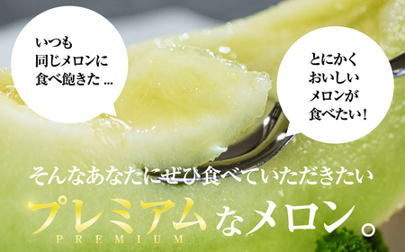 2026年先行予約極上メロン 渥美の陽光-HIKARI- メロン めろん フルーツ 旬 果物 渥美半島 田原市 愛知県